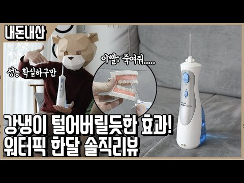 칫솔질만으론 내 입속은 시궁창이었다! 장/단점 모두 화끈한 워터픽 구강세정기 한달 솔직리뷰 ㅣ내돈내산