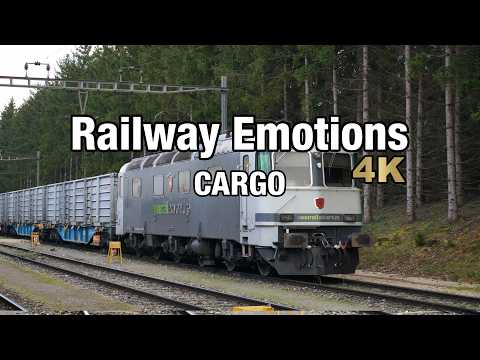 🚆 4K Cargo cab ride on a Swiss sugar beet train (Frauenfeld - Affoltern a. A | Cab Ride Switzerland)