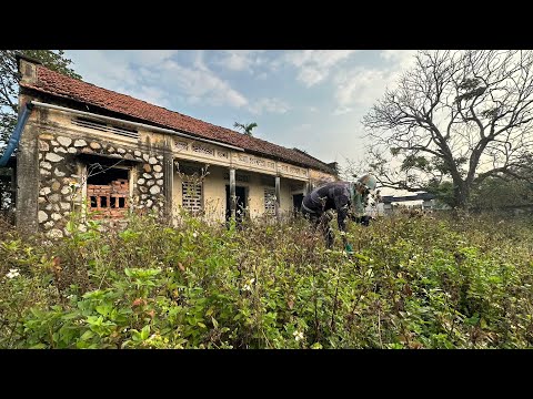 Inspire 1976 Classic Stone House Clean up and mow the garden to Transformed  find beauty again