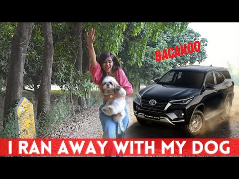 I RAN AWAY from HOME with my DOG