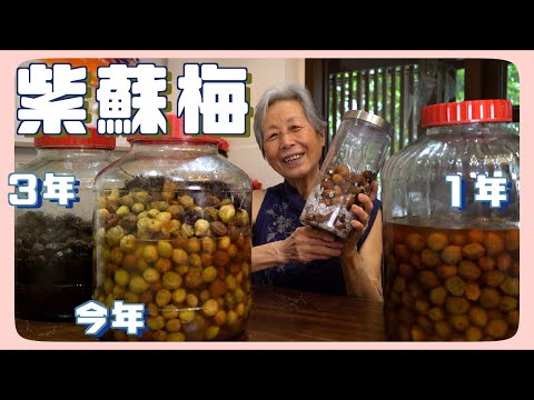 越放越好吃！自己做紫蘇梅