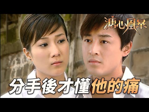 分手後才懂他的痛！程亮身世秘密令人淚崩，生日驚喜成功箍煲！｜溏心風暴｜陳豪｜林峯｜鍾嘉欣｜李司棋｜夏雨｜港劇精華｜TVB 劇集