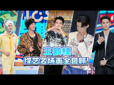 【爆笑合辑】王鹤棣是有点综艺之神宠爱在身上的！高能爆笑片段一次看个够 解救不开心！