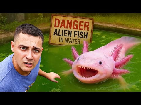 I Found an Axolotl in an Abandoned Pond