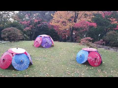 北海道中島公園賞楓