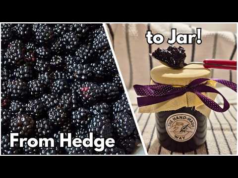 How to make Wild Blackberry Jam UK | No Pectin