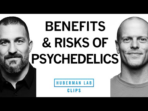 Personal Experience, Benefits & Risks of Psychedelics | Tim Ferriss & Dr. Andrew Huberman