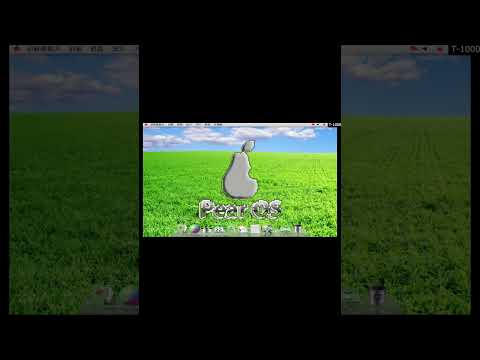 Very strange Linux OS for PC