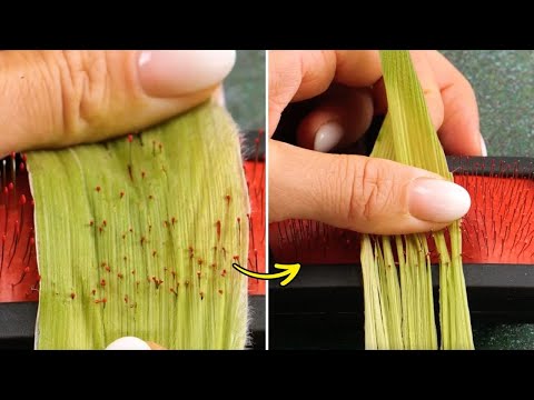 Simple Ways and Smart Gadgets That Help You Cut Veggies and Fruits Like a PRO