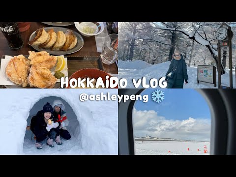北海道VLOG❄️ 初次雪國旅行👨‍👩‍👧‍👧 小樽運河 狸小路 旭川一日遊 洞爺湖乃之風溫泉飯店🤍