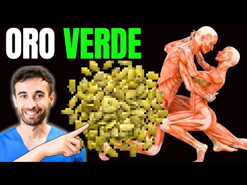 La SEMILLA más PODEROSA del Mundo: Mejora tu CIRCULACIÓN, tus OJOS, y tu SUEÑO (Cómo Tomarla)