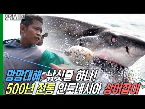 망망대해, 낚싯줄 하나! 500년 전통 인도네시아 상어잡이 [수요기획-인도네시아 카양간, 상어를 기다리는 마을] / KBS 20100113 방송