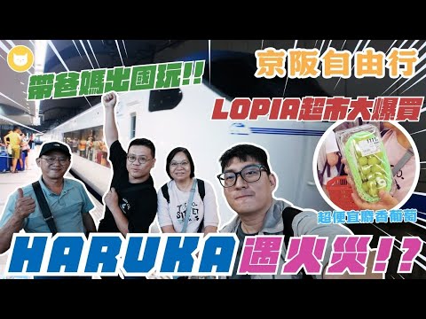 帶爸媽去日本！關西機場搭Haruka竟然遇到軌道失火大誤點😱　一到LOPIA超市立刻大爆買～開箱烏丸五條京王普雷利亞大飯店【凱文喵式會社】#大阪 #關西機場 #孝親之旅