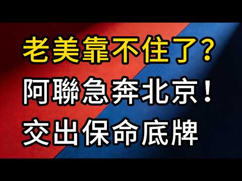 拋棄老美不裝了？川普封鎖海峽惹眾怒！阿聯王儲急奔北京，背後交出什麼「保命底牌」？