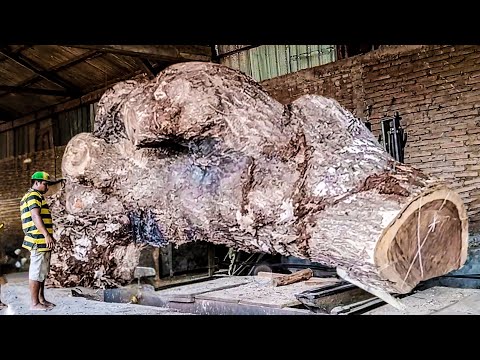 Wood Splitting becomes Art at a Sydney Sawmill