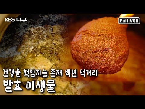 전통 발효 미생물에 담긴 놀라운 비밀은? 전통에서 미래로 나아가 백년 먹거리, 발효 미생물 (KBS 20191011 방송)
