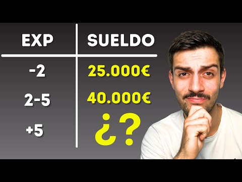 ¿Cuánto GANA un PROGRAMADOR en 2024?