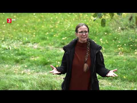 Wagenburg, Wohnwagen, Tiny-House in Deutschland