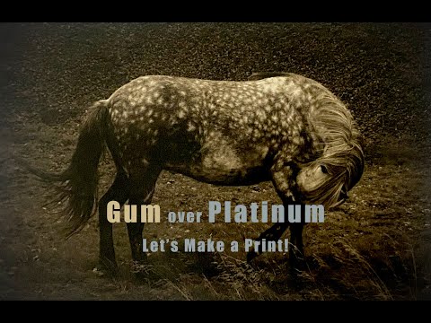 Let's Make a Gum over Platinum Print!