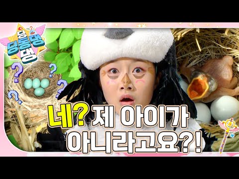 엄마보다 훨씬 큰 아기 오목눈이가 나타났다?!ㅣ딩동댕 딩동댕ㅣ네? 제 아이가 아니라고요?!