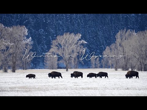 Acoustic Indie/Folk Playlist, Chill Music "Winter in Wyoming" Open Road Folk Music