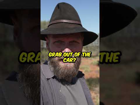 VEHICLE FIRE! HOW WOULD YOU GO?