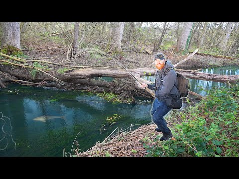 This Hidden Stream Cost Me £300! Was it Worth it?