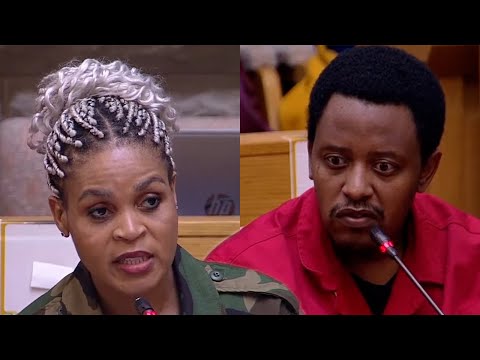 EFF And MKP Grilling DCDT Minister On Starlink “When Can We Expect Your Resignation Letter”