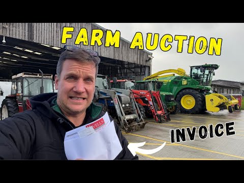 We Went to the Auction for One Thing… But Came Home With THIS!