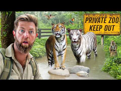 Private Tour of an Indian Billionaire’s Secret Wildlife Rescue Center