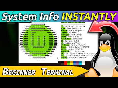 NeoFetch on Linux Mint: One Terminal Command to Try Today