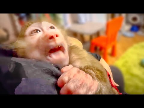 Манечка ЛОЖИТСЯ СПАТЬ и я обязательно должна ее качать, а она помогает мне ПЕТЬ КОЛЫБЕЛЬНУЮ!