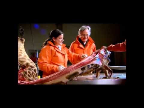 TIES Workshop Part 2