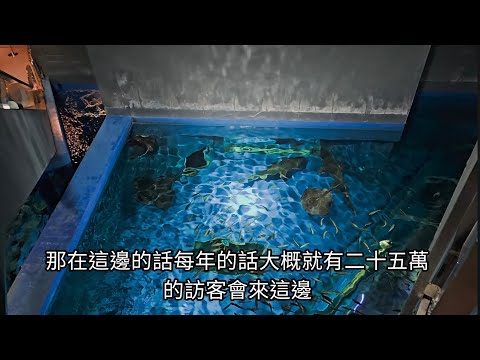 北海道旅遊 日本自由行參考 登別海洋公園尼克斯城堡美麗的水族館ep29