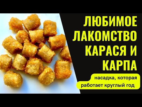 Насадка для рыбалки на КАРАСЯ и КАРПА. Работает в любое время года.