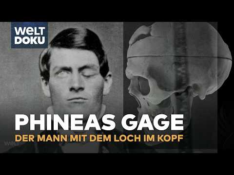 FLEDERMAUSBOMBE! Eine verrückte Erfindung des Zweiten Weltkriegs! WELT DOKU STRANGEST THINGS S02E02