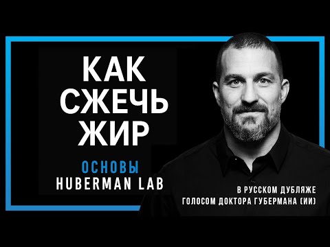 Как жечь жир — Научные основы жиросжигания от Доктора Эндрю Губермана