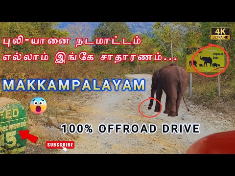 🔥புலி -யானை🔥 நடமாட்டம் சர்வசாதாரணம்😳 | SATHYAMANGALAM TIGER RESERVE - MAKKAMPLAYAM - OFFROAD DRIVE