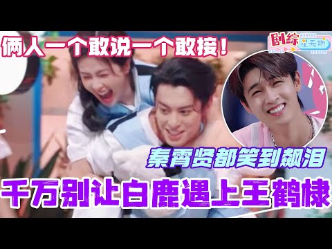 千万别让白鹿遇上王鹤棣！俩人一个敢说一个敢接！杨迪秦霄贤都笑到飙泪！#王鹤棣 #你好星期六 #综艺 #娱乐 #cdrama #搞笑 #白鹿
