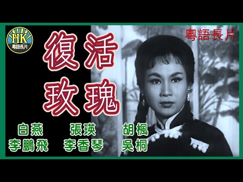 《粵語長片》復活玫瑰  (1962)｜白燕｜張瑛｜胡楓｜李鵬飛｜李香琴｜吳桐｜導演：蔣偉光｜香港電影｜香港粵語電影｜粵語中字