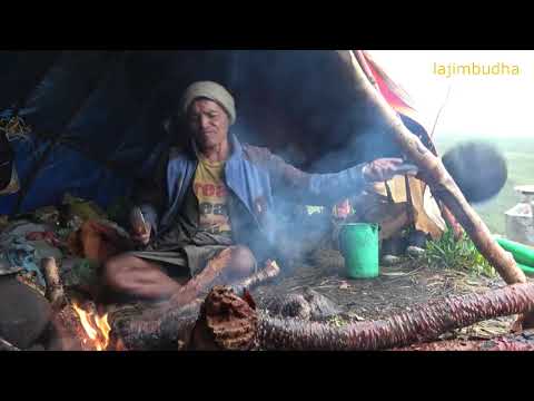 shepherd kitchen || Nepal || dolpa || lajimbudha ||
