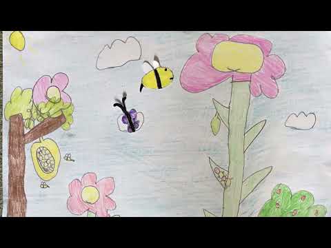 The bee and butterfly animation