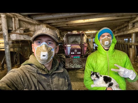 Робота УКРАЇНЦІВ на фермі у Швейцарії.