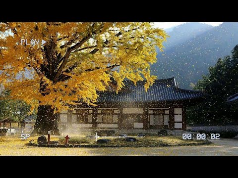 Playlist 사랑은 타이밍이라잖아 🎧  포근한 카페팝 플리