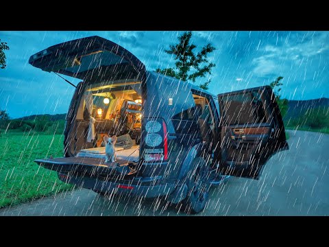 Stealth car camping in the rain | Enjoy 24 hours of cozy car camping with my 6-month-old puppy