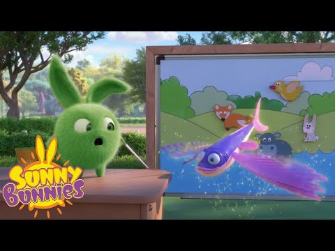 SUNNY BUNNIES - 물고기가 날아? | WildBrain