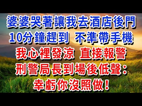 凌晨3點 婆婆哭著讓我去酒店後門，讓我10分鐘趕到 不準帶手機，我心裡發涼，直接報警，刑警局長到場後低聲：幸虧你沒照做！#書婷講故事 #為人處世#生活經驗#情感故事#晚年哲理#說故事#完結文
