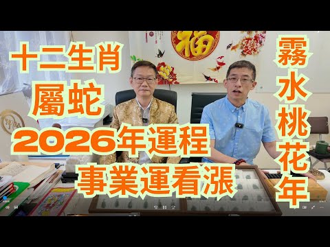 2026年十二生肖( 屬蛇 ) / 霧水桃花年 / 事業運看漲 / 亡神,病符,天官符,破碎,的煞 /