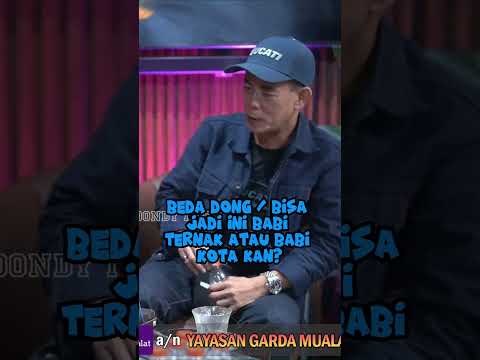 05 Babi Hutan atau Babi Kota?