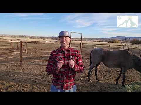 What is HOP (human and organizational performance)  and how do we use it in business?